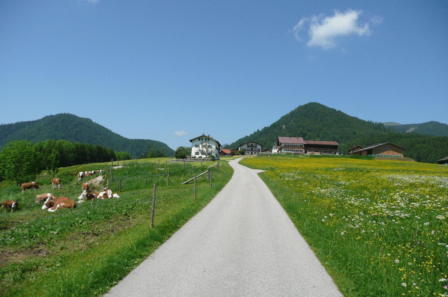 Gasthof Jachenau Exterior foto